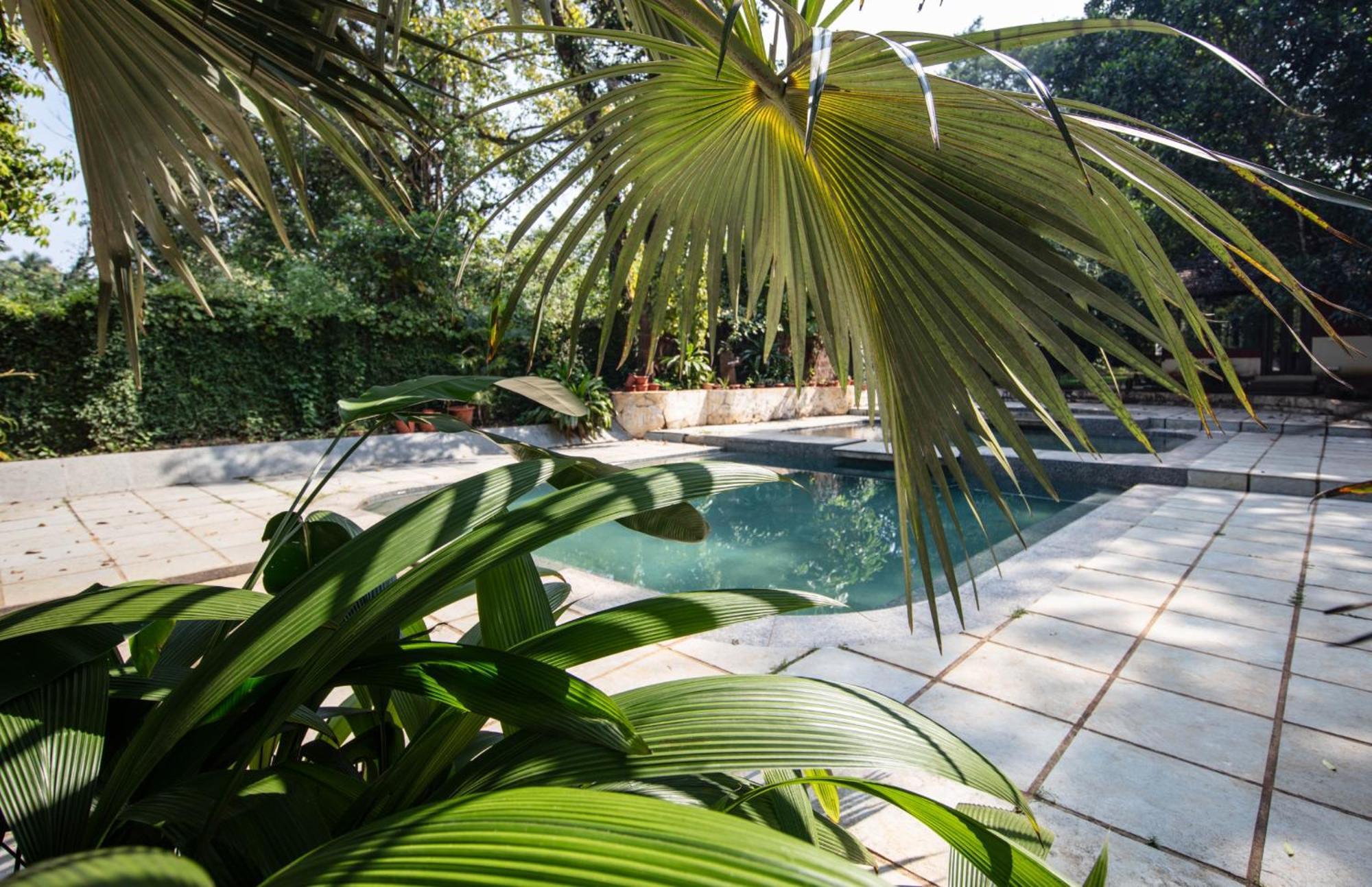 Satori Wellness Cottages I Yoga, Sauna, Ice Bath, Holistic Therapies & More Mandrem Exterior photo